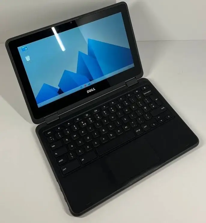 DELL1